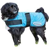 Weatherbeeta Hundkläder Husdjur Weatherbeeta Therapy-Tec Dog Cooling Coat