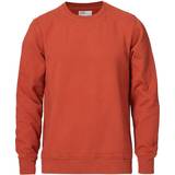 Colorful Standard Classic Organic Crew Sweatshirt - Dark Amber