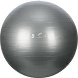 Silver Gymbollar Energetics Gym Basic 65cm