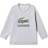 Lacoste Kids’ Crew Neck Vintage Logo Fleece Sweatshirt - Grey Chine (SJ1964-CCA)