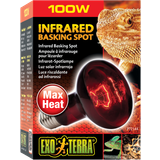 Exo Terra Husdjur Exo Terra Infrared Basking Spot R25/100W