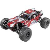 Rc bil buggy Reely Buggy RTR 2347928