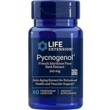 Life Extension Kosttillskott Life Extension Pycnogenol 100mg 60 st