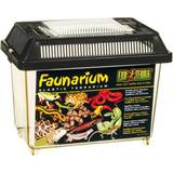 Faunarium Exo Terra Faunarium/All-Purpose Terrarium