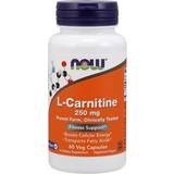 Now Foods L Carnitine 250mg 60 st