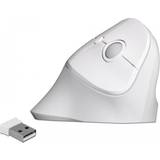 DeLock Ergonomic Vertical USB Wireless Mouse
