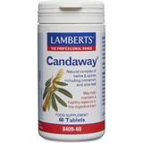 Lamberts Candaway 60 st