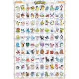 Pokémon Speglar Pokémon Management affisch