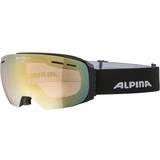 Skidglasögon Alpina Granby Goggles OS