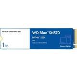 Wd blue Western Digital Blue SN570 WDS100T3B0C 1TB