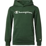 Champion Kid's Hooded Sweatshirt - Rain Forest