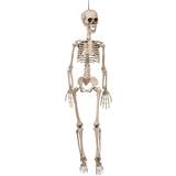 Skelett Skeletons 90cm