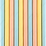 PartyDeco Straws Summer Time 10-pack