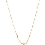 Pico Polly Necklace - Gold/Pearls