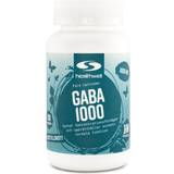 Tabletter Aminosyror Healthwell Gaba 1000mg 100 st