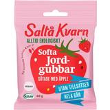 Saltå Kvarn Torkade frukter & Bär Saltå Kvarn Softa Jordgubbar 40g