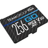 Minneskort Team Group GO 4K microSDXC Class 10 UHS-I U3 V30 256GB