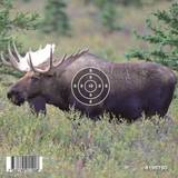 Gyttorp Jakttillbehör Gyttorp Target Airgun Elk Nocolour