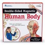 Experiment & Trolleri Learning Resources Double Sided Magnetic Human Body
