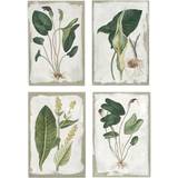 Dkd Home Decor Tavla Kanvas Botaniska växter (4 pcs) (40 x 3 x 60 cm) Tavla