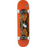 Orange Kompletta skateboards Antihero Classic Eagle 7.75"