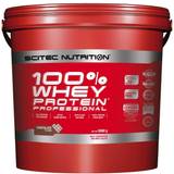 Proteinpulver på rea Scitec Nutrition 100% Whey Protein Professional Chocolate 5kg