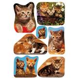 Herma Pyssel Herma stickers Decor katter (3)