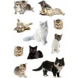 Herma Pyssel Herma stickers Decor katter (3)