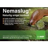 Nemaslug Trädgård & Utemiljö Nemaslug Small treats
