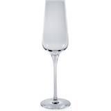 Champagneglas Chef & Sommelier Sublym 21 cl Champagneglas