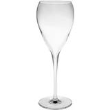 Champagneglas Bormioli Rocco Inalto Tre Sensi Champagneglas 22cl 24st