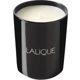 Lalique Ljusstakar, Ljus & Doft Lalique 190g Vetiver Bali Scented Candle