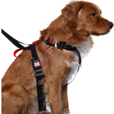 Artfex Hundar - Hundhalsband & Selar Husdjur Artfex Dog Car Harness L