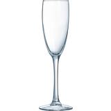 Arcoroc Champagneglas Arcoroc Vina Transparent 6 antal (19 cl) Champagneglas