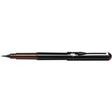 Fp10 Pentel XGFKPSP/FP10 Pocket Brush pen Brown