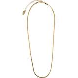 Orelia Smycken Orelia Flat Snake Chain Necklace - Gold