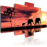 Orange Väggdekorationer Arkiio African elephants family 100x50 Tavla 100x50cm