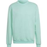 Turkosa Överdelar Barnkläder adidas Entrada 22 Sweatshirt - Clear Mint (HC5042)