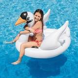 Intex 57557EP n.a Swan Inflatable Ride-On, White, Float