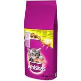 Whiskas Katter - Torrfoder Husdjur Whiskas Junior Dry Food Kitten with 14kg 14kg