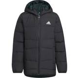 adidas Frosty Winter Jacket - Black (HM5205)
