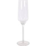 Royal Leerdam Glas Royal Leerdam Aristo Champagneglas 22cl 6st