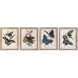 Trä Posters Dkd Home Decor Fjärilar Shabby Chic (40 x 2 x 50 cm) (4 antal) Poster