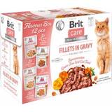 Brit Katter Husdjur Brit FlavourBox Fillet in Gravy 12x85g