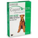 Capstar Husdjur Capstar Green For Dogs 25.1 125 Lbs 6
