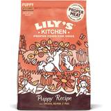 Husdjur Lily's kitchen Chicken & Salmon Dry Food for Puppies 7kg
