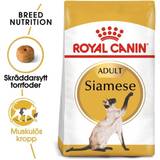 Royal Canin Hundfoder - Katter Husdjur Royal Canin Siamese 2kg