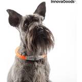 Led halsband InnovaGoods "LED-halsband husdjur Petlux