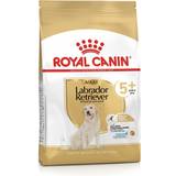 Royal Canin Husdjur Royal Canin Labrador Retriever 5+ 12kg