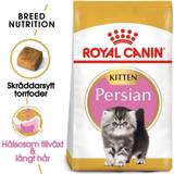 Royal Canin Persian Kitten kattmat 10kg
